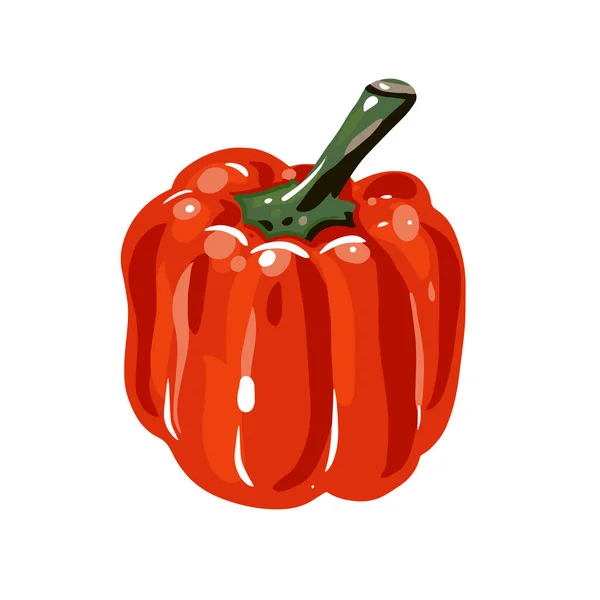 Fresh red pepper. Hand drawn colorful vector illustration. — Stock Vector