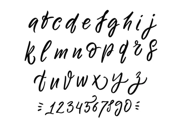 Сценарій каліграфії декоративного стилю. Тип або знак векторного позначення . — стоковий вектор