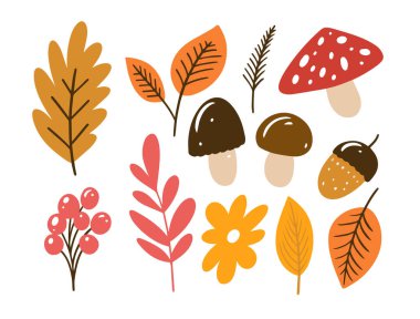 Sonbahar el rengarenk elementler çizildi. Sonbahar işaretleri ve sembolleri izole edilmiş vektör resimlemesi.