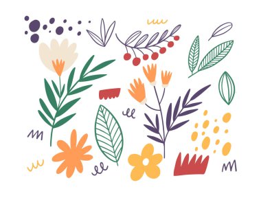 Karalama çiçeği ve doğal elementler ayarlandı. El çizimi renkli çizgi film stili vektör çizimi. Beyaz arkaplanda izole nesneler.