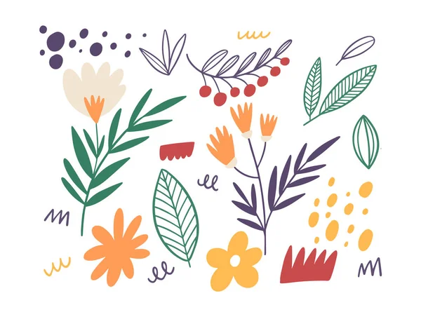 Karalama çiçeği ve doğal elementler ayarlandı. El çizimi renkli çizgi film stili vektör çizimi. Beyaz arkaplanda izole nesneler.