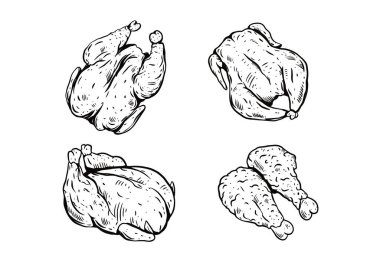 Elle çizilmiş tavuk seti. Siyah renk vektör çizimi beyaz arkaplanda izole edildi.