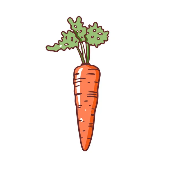 Whole One Carrot Hand Drawn Colorful Cartoon Style Vegetable Vegan — Stock vektor