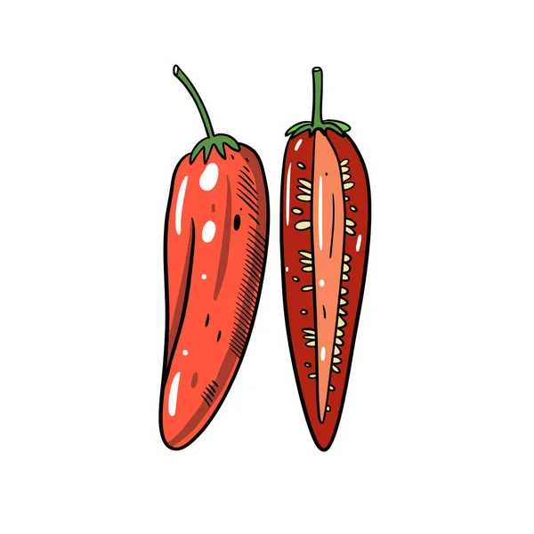 Ручной Рисунок Красный Перец Чили Цветная Векторная Иллюстрация Дизайн Плаката — стоковый вектор