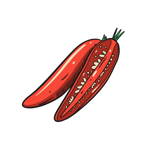 Ręcznie Narysowana Papryka Chili Całości Plasterek Czerwony Szkic Koloru Sztuka — Wektor stockowy