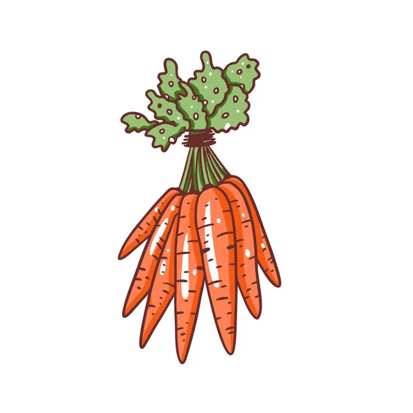Hand Drawn Colored Orange Carrots Set Sketch Style Vector Doodle — Stock vektor