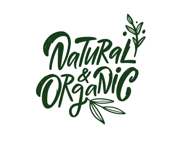 Naturale Organico Disegnato Mano Colore Verde Pennello Calligrafia Frase Arte — Vettoriale Stock