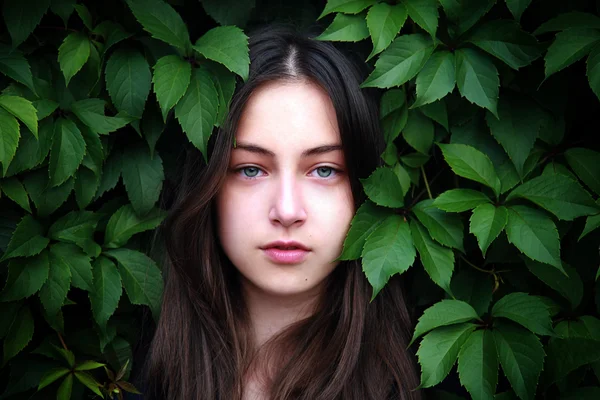 一个年轻女孩在树丛里的肖像 — 图库照片
