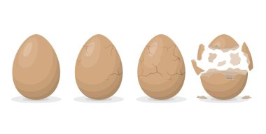 Yumurta kırma işlemi beyaz arkaplanda izole edildi. Çiftlik tavuğu yumurta kabuğu kırma aşamaları. Yumurtadan çıkma aşamaları. Yumurta kabuğuyla kırılmış yumurta. Paskalya elemanları tasarımı. Vektör illüstrasyonu