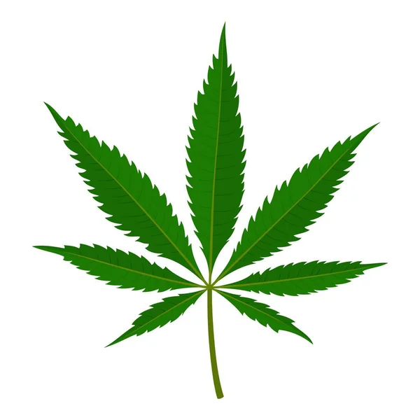 Лист марихуаны изолирован на белом фоне. Лекарственное растение конопли, травяная индийская сатива. Естественная конопля. Наркомания, курение травки, незаконный наркотик. Векторная иллюстрация — стоковый вектор