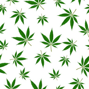 Marihuana yaprağı dikişsiz desen. Tıbbi kenevir bitkisi, Herbal indica sativa. Doğal kenevir arka planı. Bağımlılık, yasadışı uyuşturucu için ot içiyor. Vektör illüstrasyonu