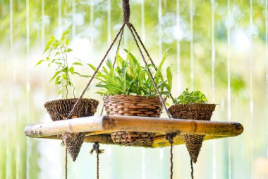 Küçük ağaç ahşap hasırın içine dikilir ve ipin üzerine uzanır. Arkasında küçük bir şelale ile birlikte sallanır..