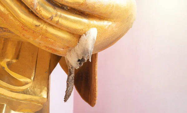 White Bee Nest Occur Arm Golden Big Buddha Statue Have — 图库照片