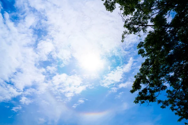 Phenomenon Sun Halo Causes Refraction Reflection Light Seen Rainbow Stripes — ストック写真