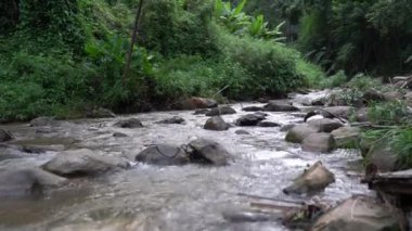 The Stream is flowing among stones and surrounded by green bushes, big trees and forest in Mon Jam, Chiang Mai.