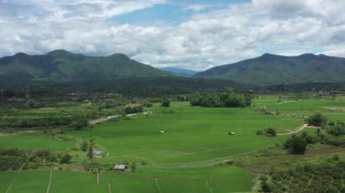 Panoramic Wild view of Paddy Rice field, Mountain and Sky with Cloud. This is the environment of the Thailand agriculture countryside.