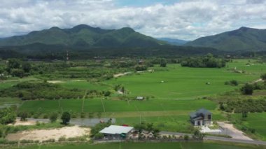 Panoramic Wild view of Paddy Rice field, Mountain and Sky with Cloud. This is the environment of the Thailand agriculture countryside.