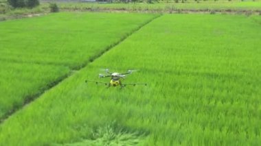 Agriculture Drone Technology AI robot for farmer to remote and spray chemical or water into paddy rice field and farmland.