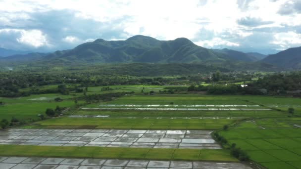 Panoramic Wild View Paddy Rice Field Mountain Sky Cloud Environment — Vídeo de Stock