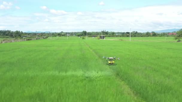 Agriculture Drone Technology Robot Farmer Remote Spray Chemical Water Paddy — Videoclip de stoc