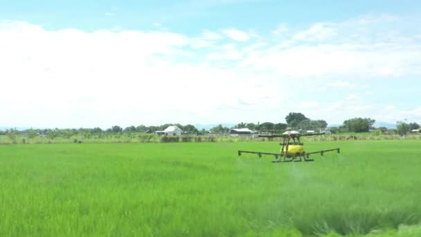 Agriculture Drone Technology Robot Farmer Remote Spray Chemical Water Paddy — Video