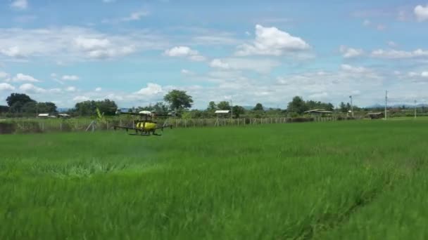 Agriculture Drone Technology Robot Farmer Remote Spray Chemical Water Paddy — Video