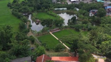 Drone view of Sufficiency Economy, Land full of agricultural activities with green rice fields, big ponds, and trees. Small houses and temple close by a pond.