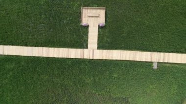 Drone view of Sufficiency Economy, Land full of agricultural activities with green rice fields, big ponds, and trees. Small houses and temple close by a pond.