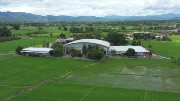 Building Paddy Field Drone View — Stok video