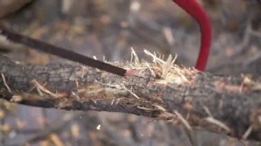 Asyalı işçi bir sonraki işlem için kütük ve ölü ağacı küçük parçalara ayırdı.