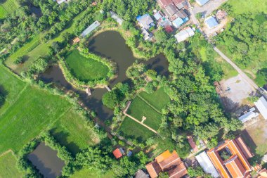 Drone view of Sufficiency Economy, Land full of agricultural activities with green rice fields, big ponds, and trees. Small houses and temple close by a pond.