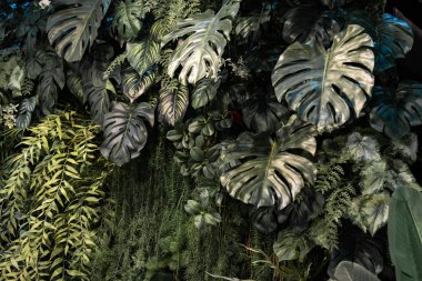 Farklı türde küçük ağaçlarla dolu dikey bir bahçe. Taze ve rahatlama hissi veriyor..  