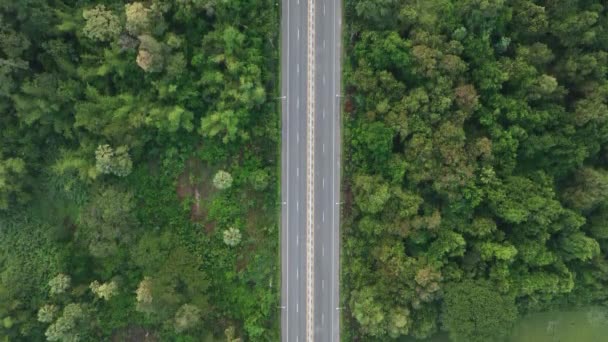 Aerial View Drone Straight Two Lane Road Both Sides Lush — Video