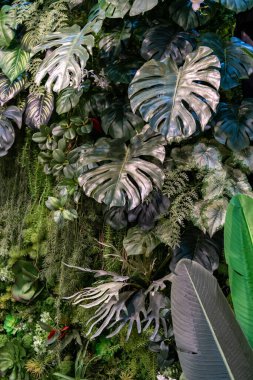 Farklı türde küçük ağaçlarla dolu dikey bir bahçe. Taze ve rahatlama hissi veriyor..  