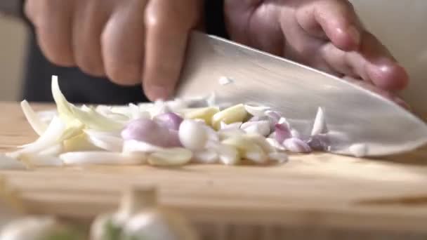 玉ねぎ 赤玉ねぎ ガリックを小さな断片にカットし プロのシェフによるキッチンナイフでスライス — ストック動画