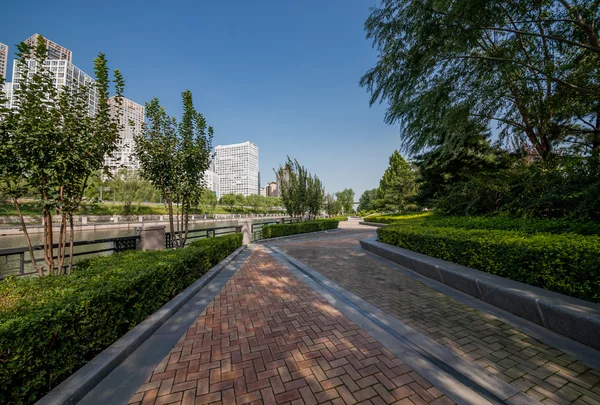 Парк рядом со зданиями в Пекине — стоковое фото