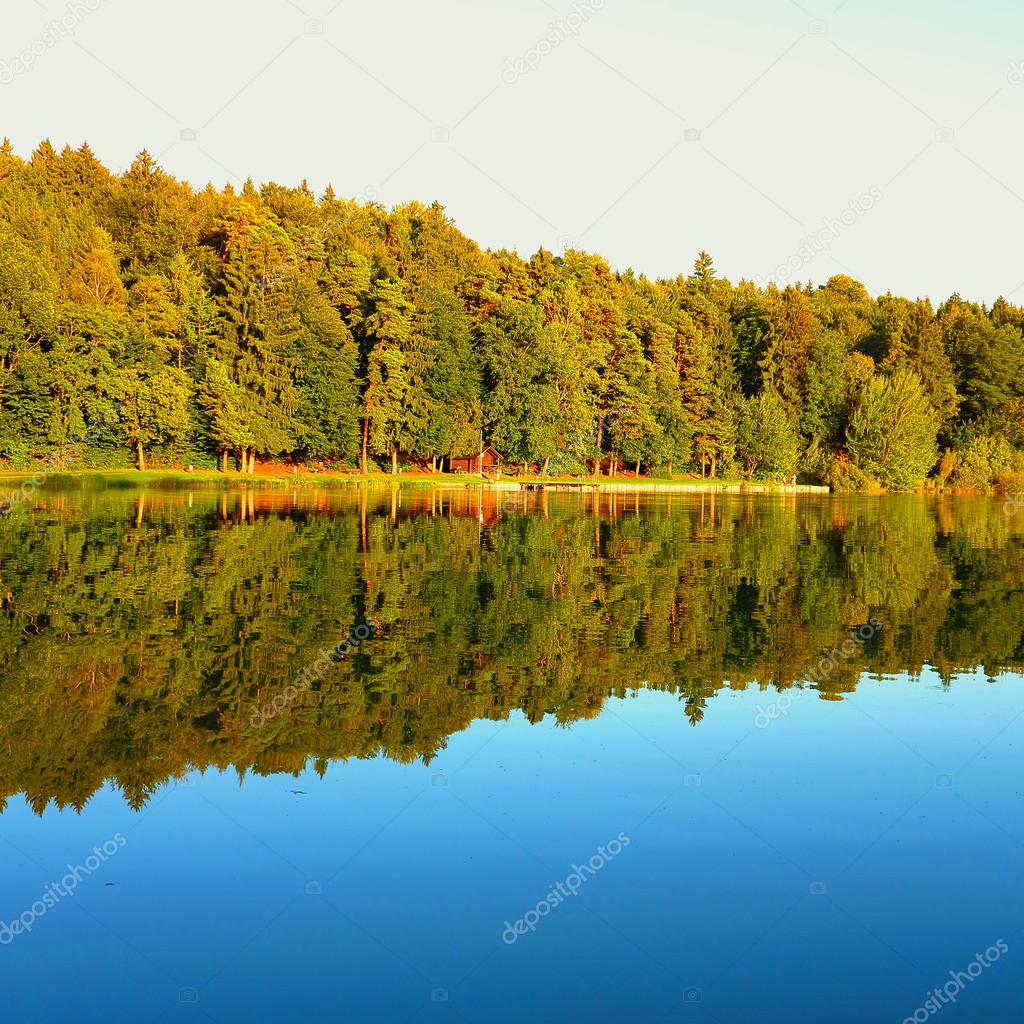 отражения в воде фото онлайн отражения в воде фото