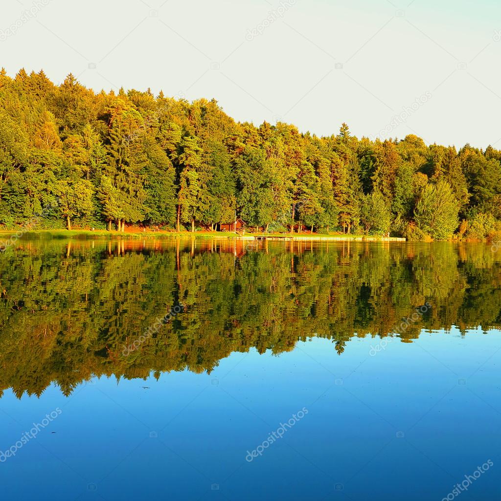 Trees reflection in water in the evening
