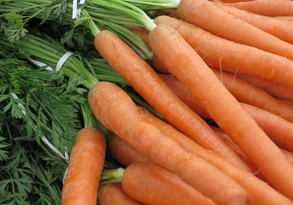 Fresh carrots — Stock Photo, Image