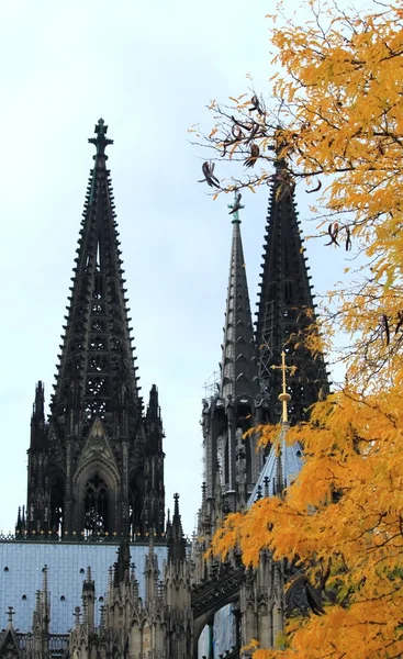 Cologne, Niemcy — Zdjęcie stockowe