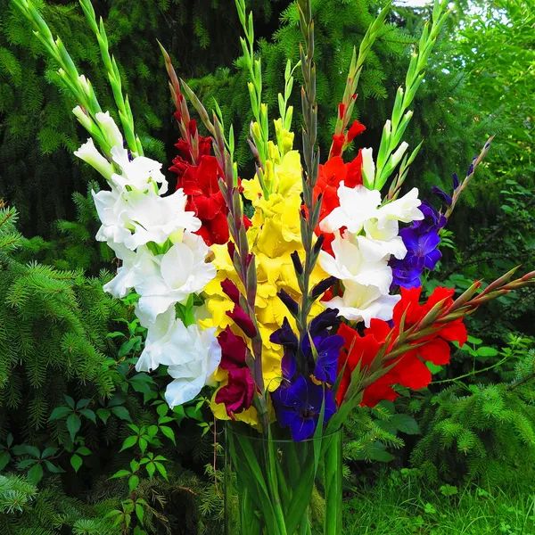 다채로운 디올 꽃다발 로열티 프리 스톡 이미지