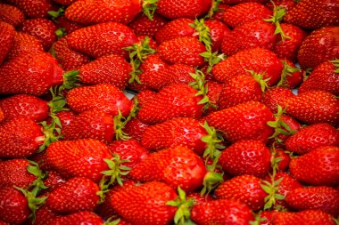 kırmızı sulu çilekler