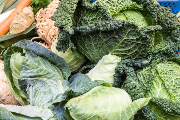 Fresh vegetables — Stock Photo, Image