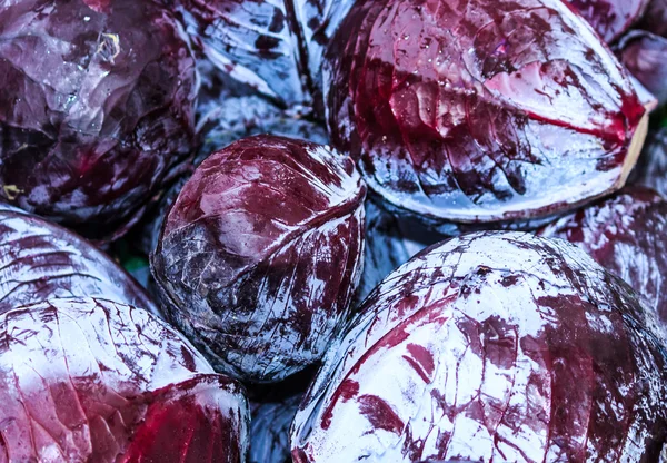 Red cabbage — Stock Photo, Image