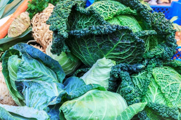 White cabbage and savoy cabbage — Stock Photo, Image