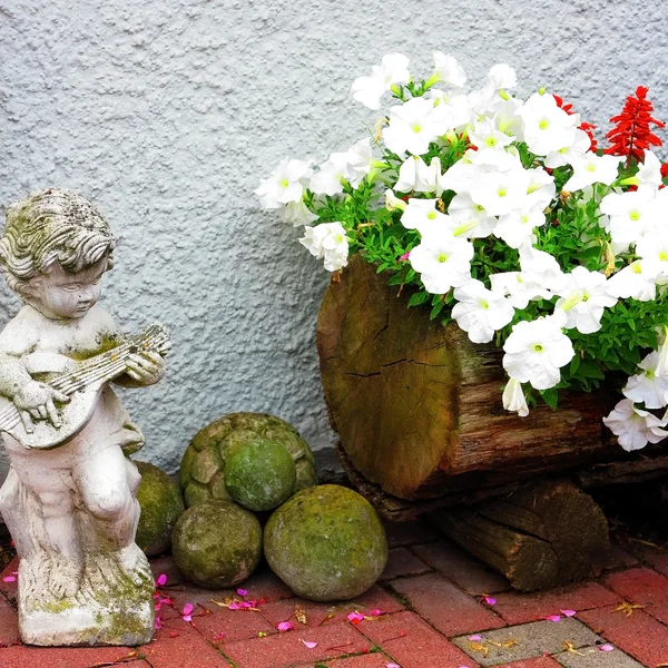 Pétunia blanc dans un pot de fleurs en bois — Photo