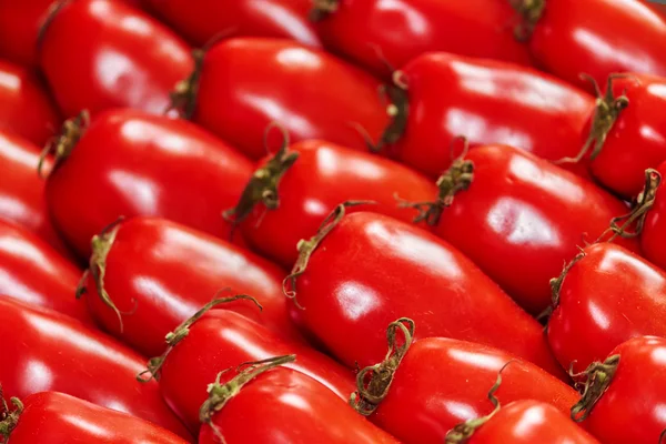 Tomates vermelhos maduros — Fotografia de Stock