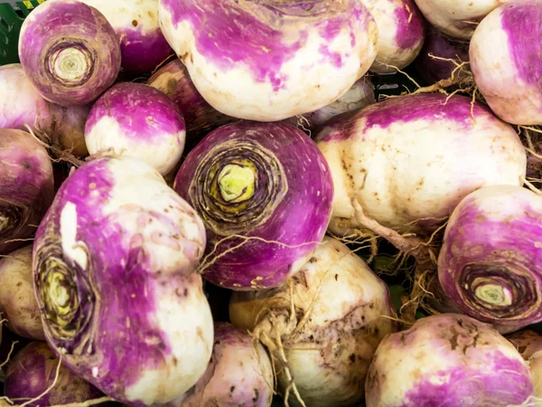 Fresh purple headed turnips — Stock Photo, Image