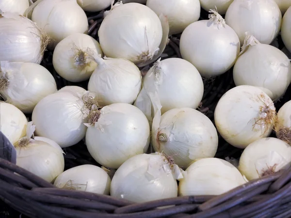 Cebollas blancas francesas —  Fotos de Stock