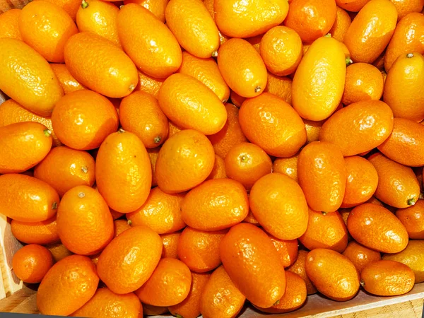 Kumquats 또는 cumquats, 소중한 아시아 감귤 류의 과일 — 스톡 사진